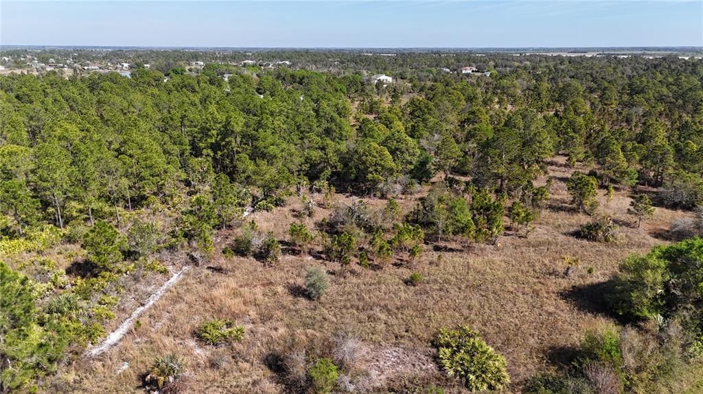 For Sale: $279,000 (5.00 acres)