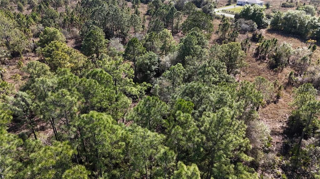 For Sale: $279,000 (5.00 acres)