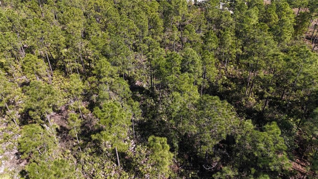 For Sale: $279,000 (5.00 acres)