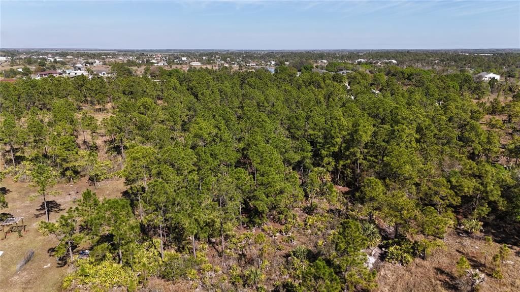 For Sale: $279,000 (5.00 acres)