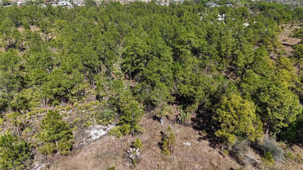 For Sale: $279,000 (5.00 acres)