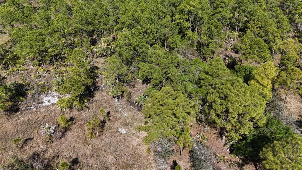 For Sale: $279,000 (5.00 acres)