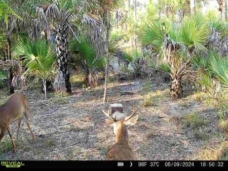 Recently Sold: $145,000 (20.00 acres)