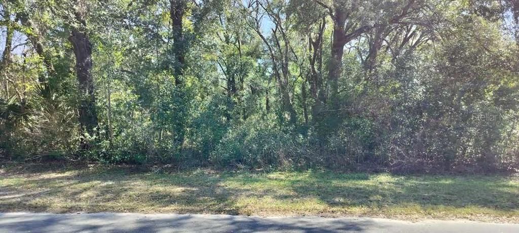 Недавно продано: $12,500 (0.28 acres)