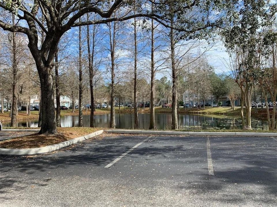 合同活跃: $1,950 (2 贝兹, 2 浴室, 1152 平方英尺)