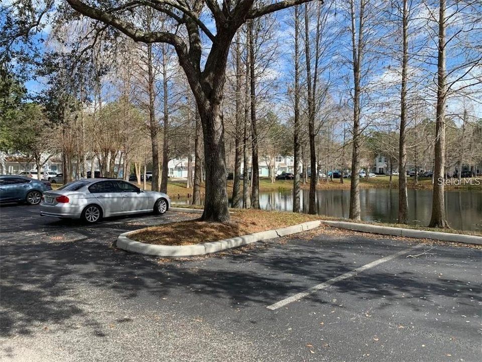 合同活跃: $1,950 (2 贝兹, 2 浴室, 1152 平方英尺)