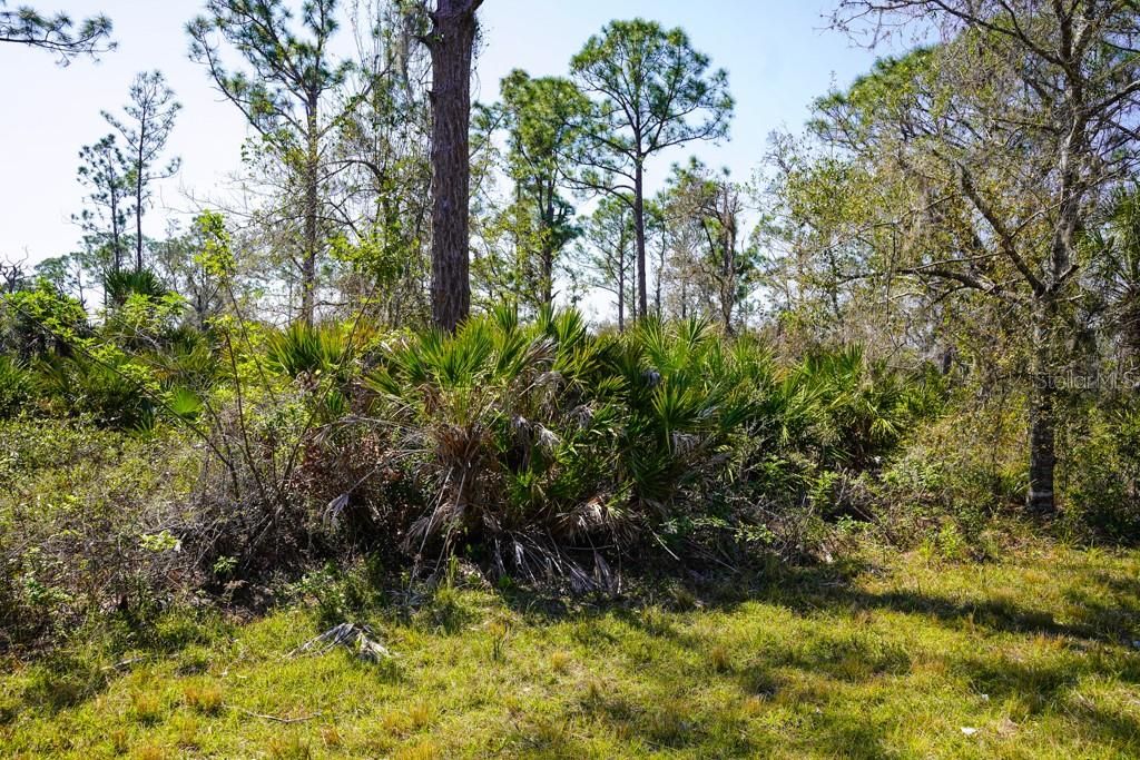 For Sale: $10,500 (0.23 acres)