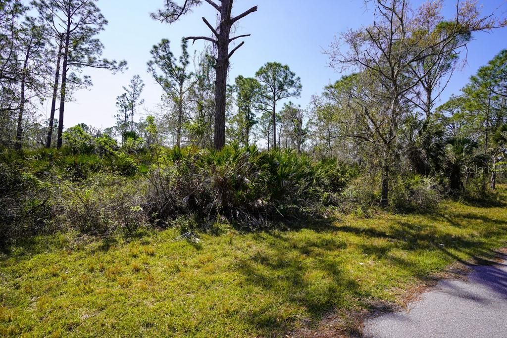 For Sale: $10,500 (0.23 acres)