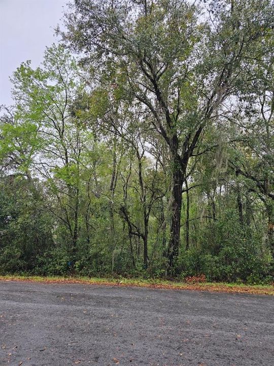 En Venta: $80,000 (0.72 acres)