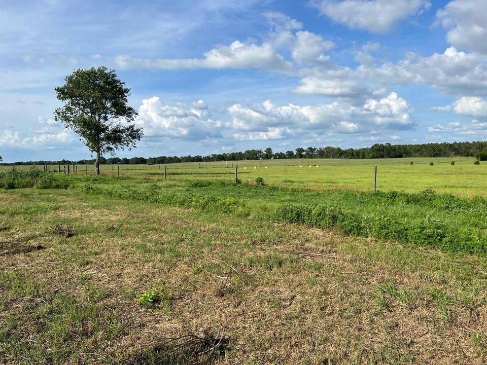 For Sale: $1,099,000 (0 beds, 0 baths, 0 Square Feet)