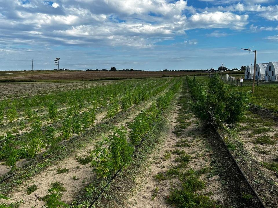 For Sale: $1,099,000 (0 beds, 0 baths, 0 Square Feet)