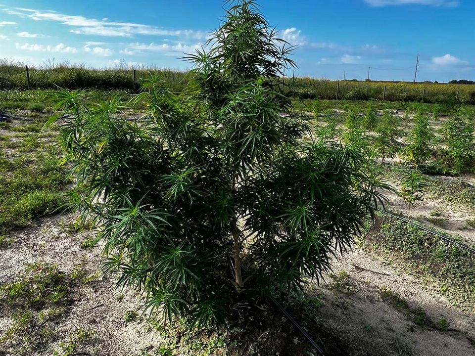 For Sale: $1,099,000 (0 beds, 0 baths, 0 Square Feet)