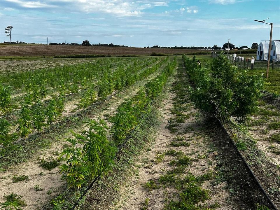 For Sale: $1,099,000 (0 beds, 0 baths, 0 Square Feet)