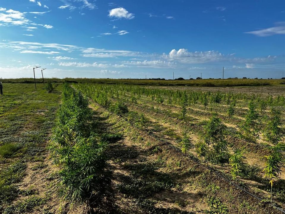 For Sale: $1,099,000 (0 beds, 0 baths, 0 Square Feet)