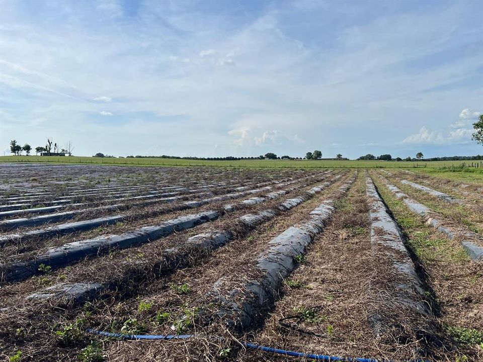 For Sale: $1,099,000 (0 beds, 0 baths, 0 Square Feet)