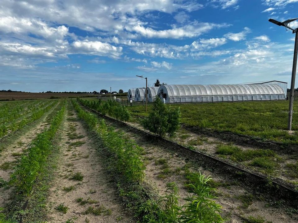 For Sale: $1,099,000 (0 beds, 0 baths, 0 Square Feet)