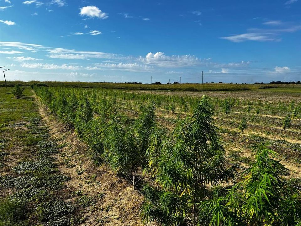 For Sale: $1,099,000 (0 beds, 0 baths, 0 Square Feet)