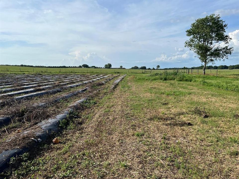 For Sale: $1,099,000 (0 beds, 0 baths, 0 Square Feet)