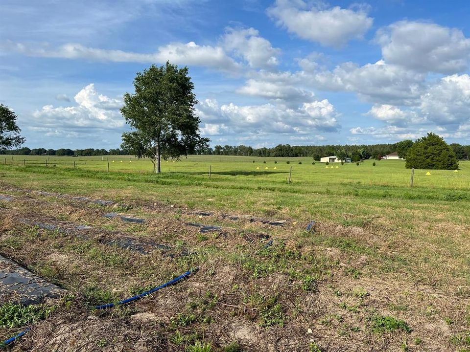 For Sale: $1,099,000 (0 beds, 0 baths, 0 Square Feet)