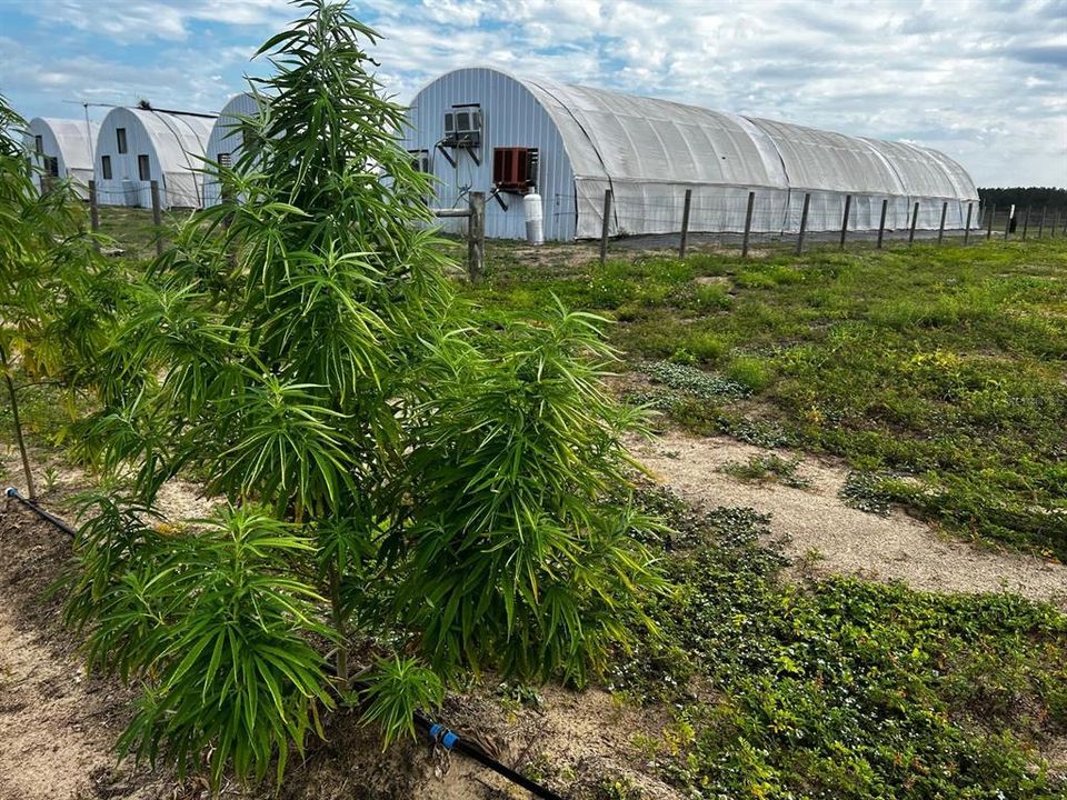 For Sale: $1,099,000 (0 beds, 0 baths, 0 Square Feet)