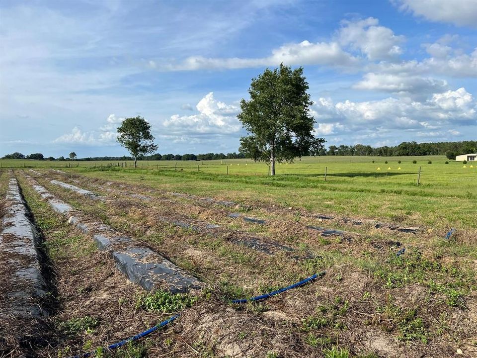 For Sale: $1,099,000 (0 beds, 0 baths, 0 Square Feet)