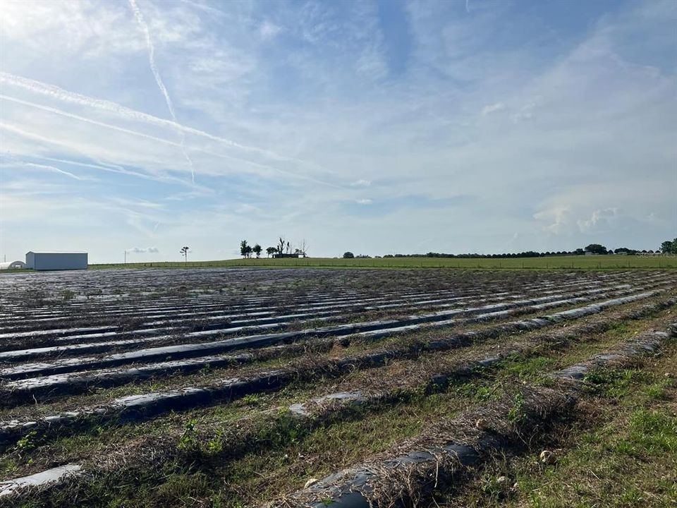 For Sale: $1,099,000 (0 beds, 0 baths, 0 Square Feet)