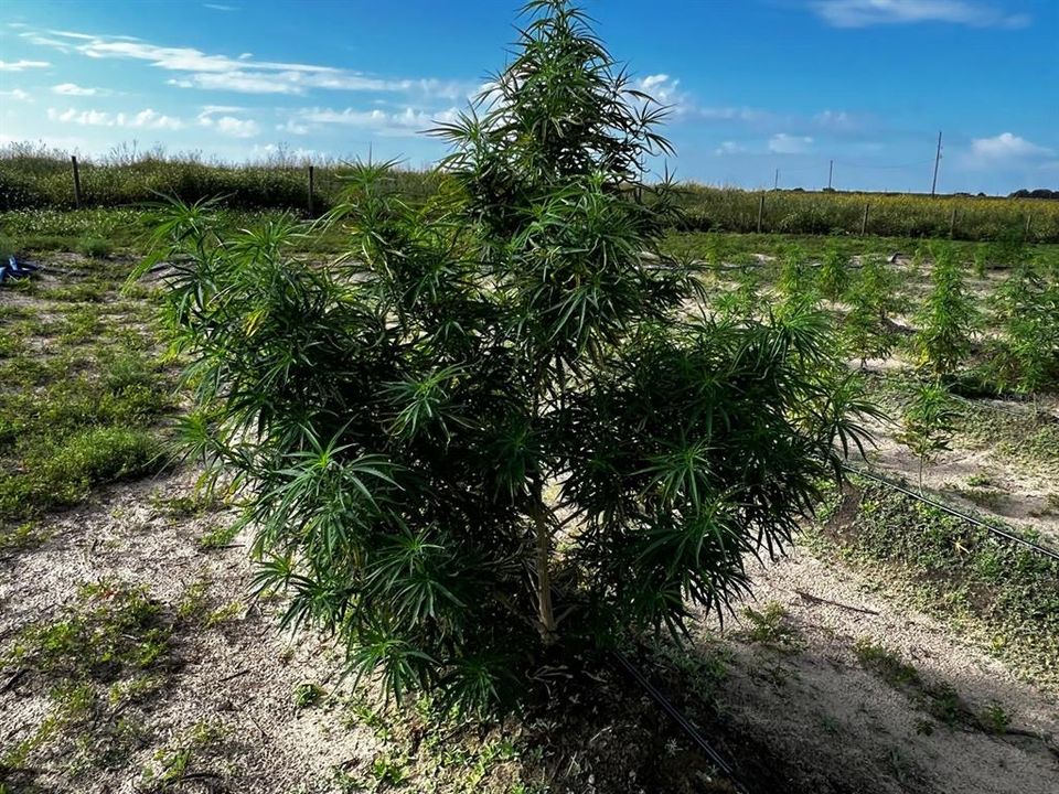 For Sale: $1,099,000 (0 beds, 0 baths, 0 Square Feet)