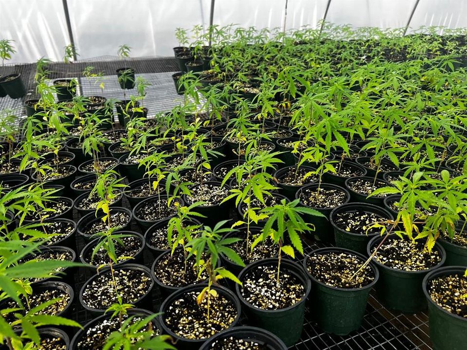 For Sale: $1,099,000 (0 beds, 0 baths, 0 Square Feet)