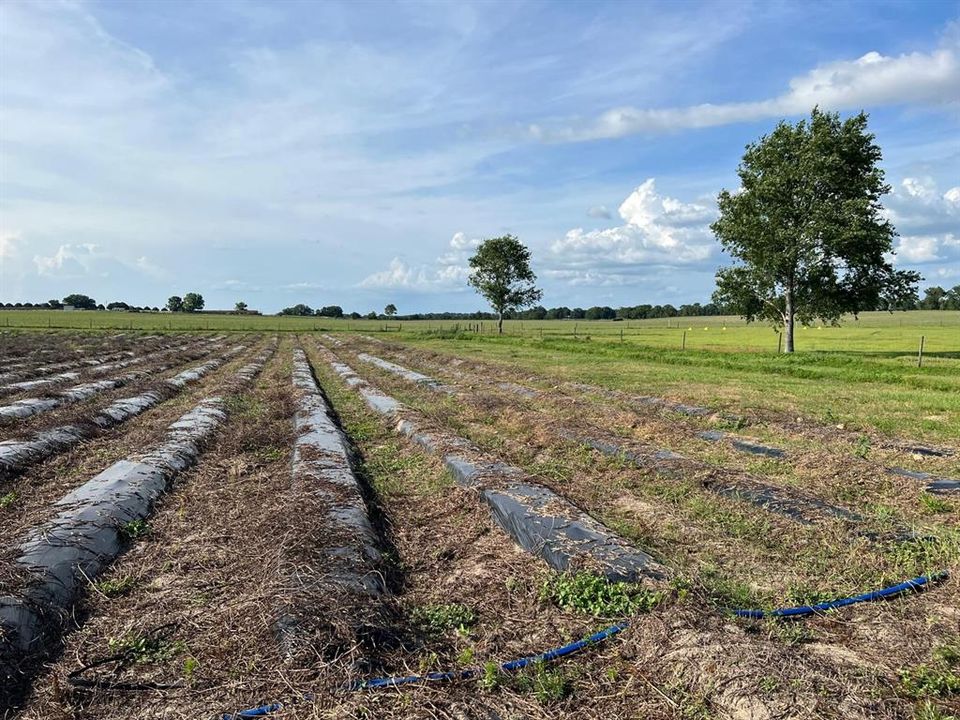 For Sale: $1,099,000 (0 beds, 0 baths, 0 Square Feet)