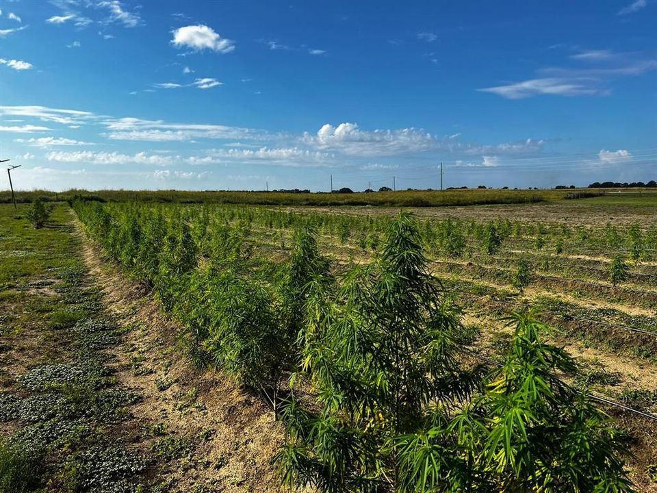 For Sale: $1,099,000 (0 beds, 0 baths, 0 Square Feet)