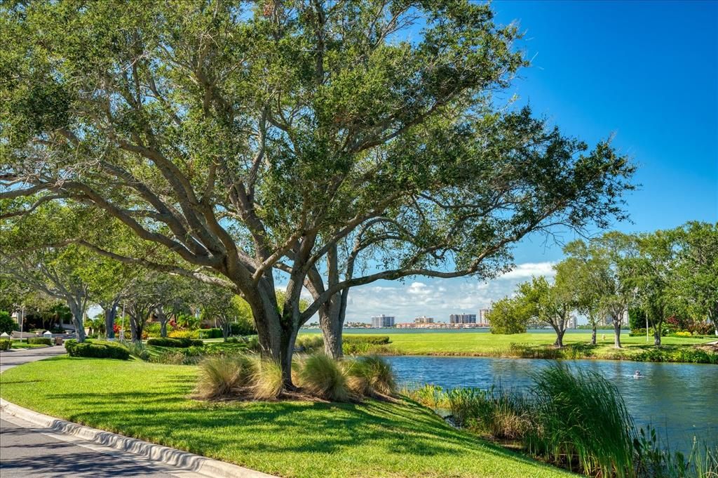 待售: $6,900,000 (1.05 acres)