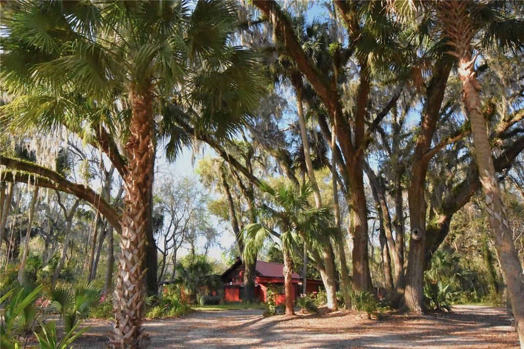 待售: $300,000 (3 贝兹, 2 浴室, 1701 平方英尺)