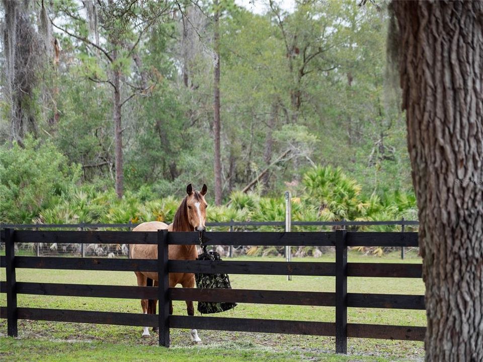 For Sale: $1,175,000 (3 beds, 2 baths, 2432 Square Feet)