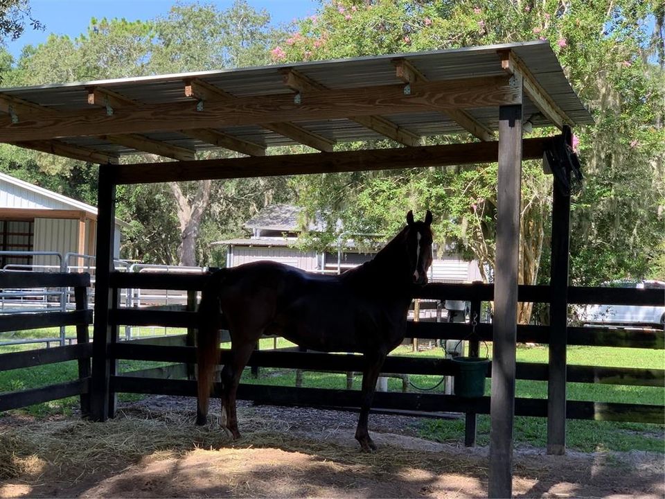 For Sale: $1,175,000 (3 beds, 2 baths, 2432 Square Feet)