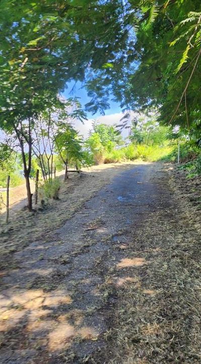 На продажу: $599,000 (2 спален, 1 ванн, 800 Квадратных фут)