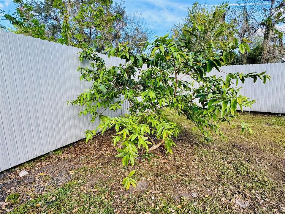 For Sale: $160,000 (3 beds, 2 baths, 1010 Square Feet)