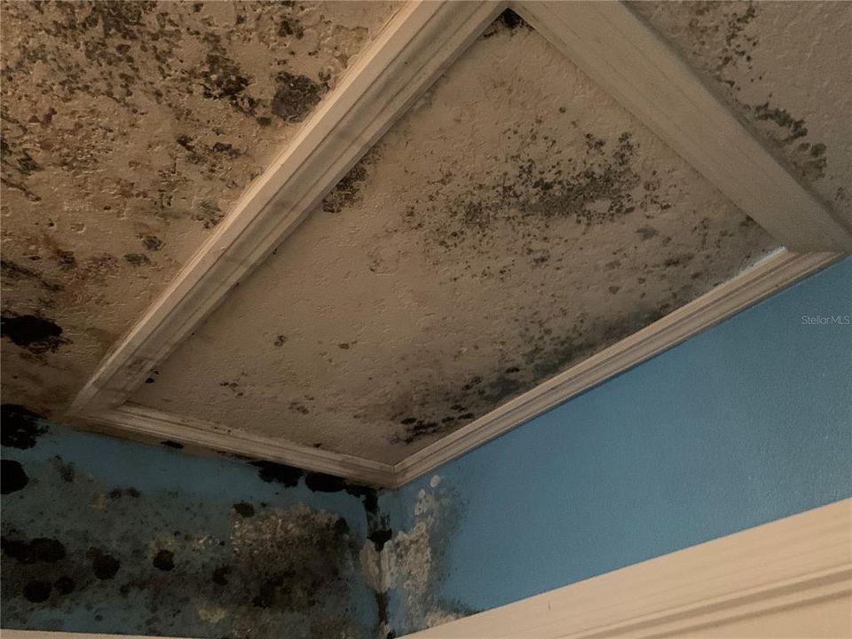 For Sale: $150,000 (3 beds, 2 baths, 1360 Square Feet)