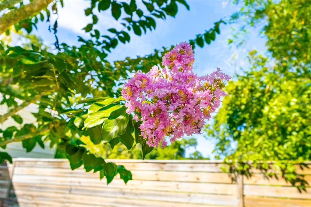 En Venta: $1,099,000 (3 camas, 2 baños, 3310 Pies cuadrados)