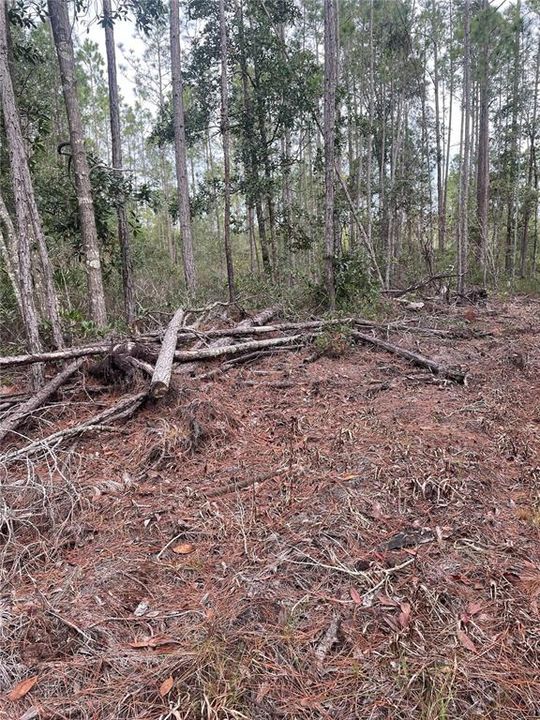 最近售出: $14,900 (1.17 acres)