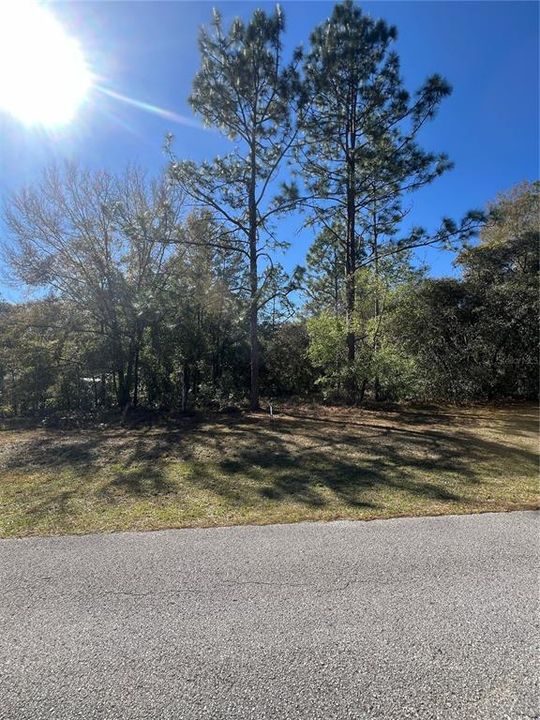 待售: $90,000 (1.91 acres)