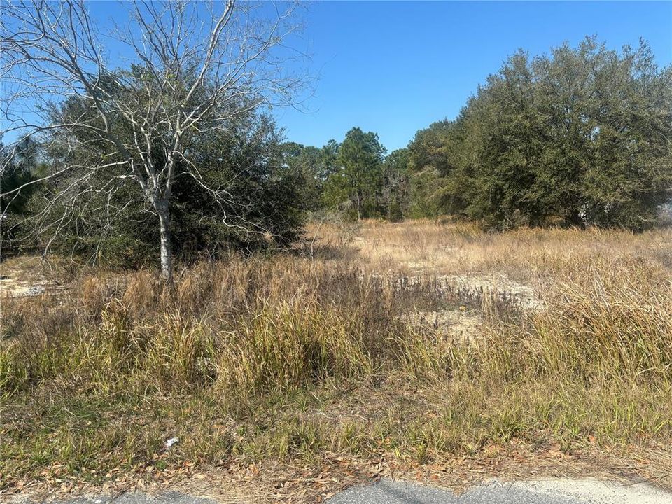 Active With Contract: $33,000 (0.35 acres)