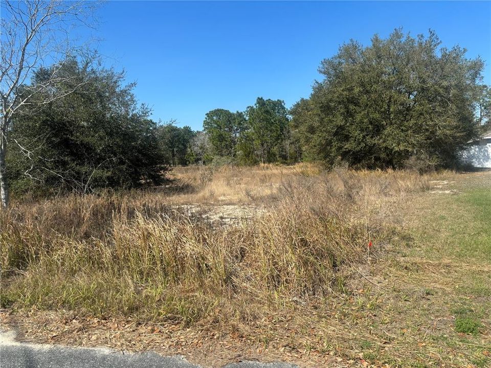 Active With Contract: $33,000 (0.35 acres)