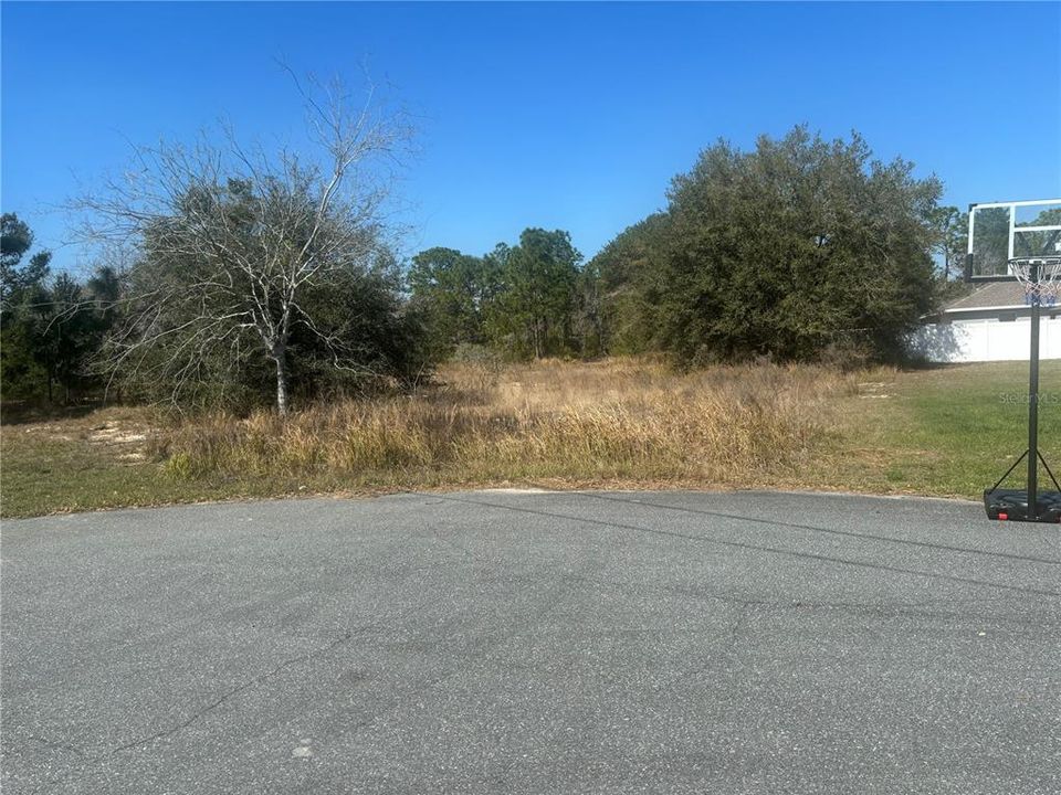 Active With Contract: $33,000 (0.35 acres)