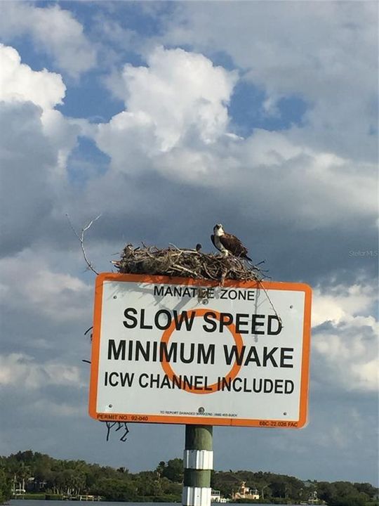 На продажу: $3,950,000 (5 спален, 4 ванн, 4293 Квадратных фут)