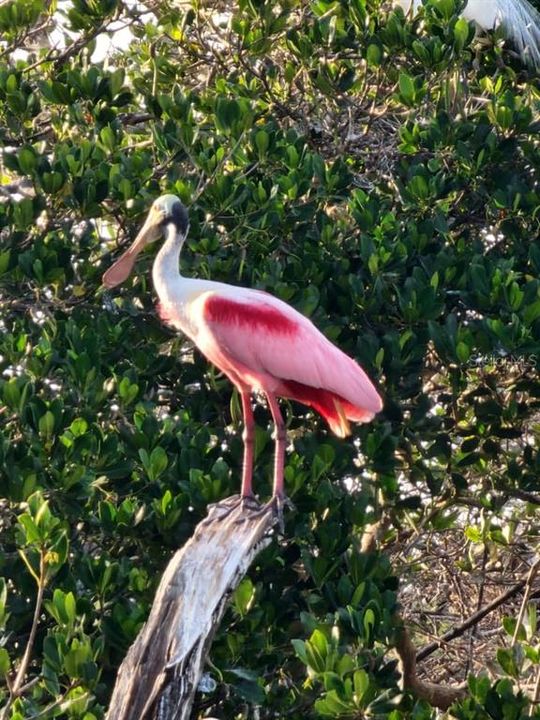 На продажу: $3,950,000 (5 спален, 4 ванн, 4293 Квадратных фут)