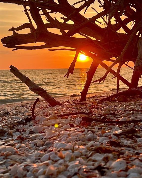 На продажу: $3,950,000 (5 спален, 4 ванн, 4293 Квадратных фут)