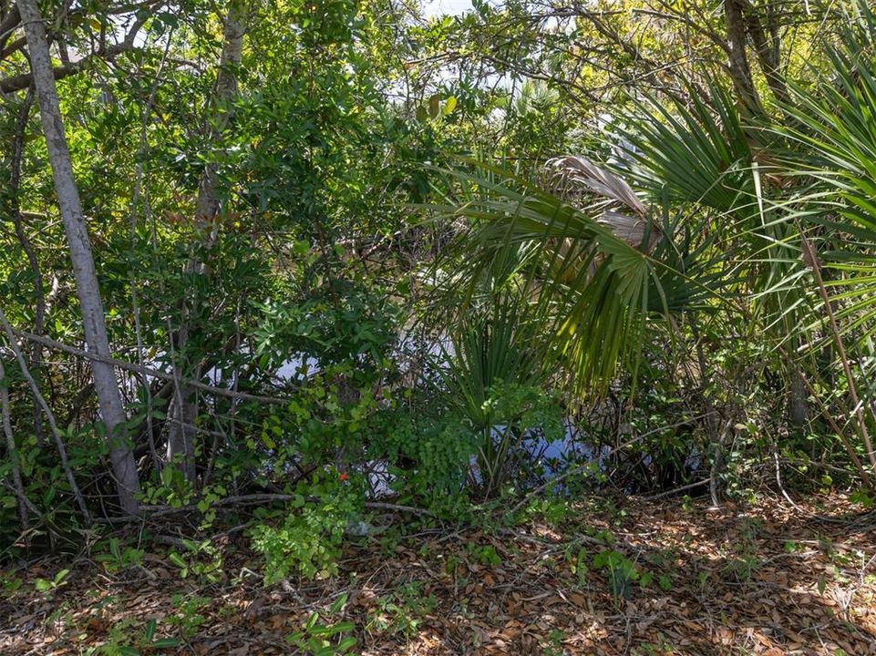 На продажу: $425,000 (0.38 acres)