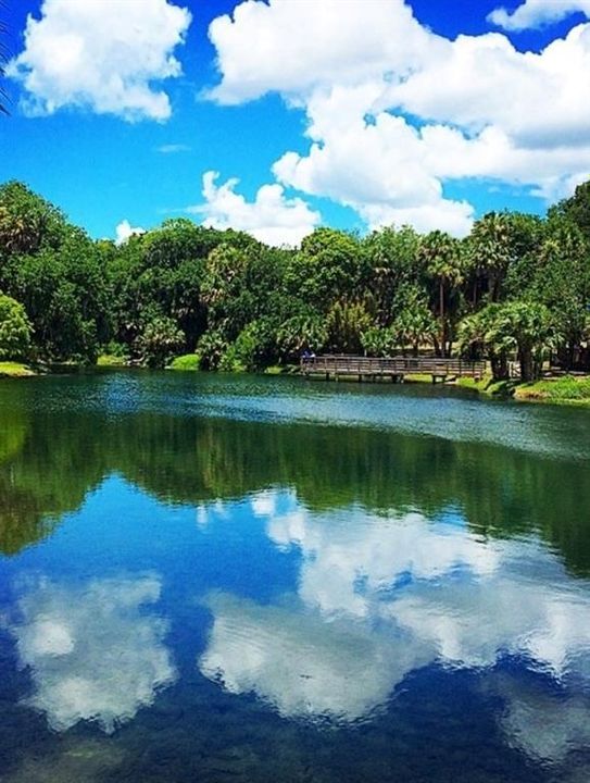 На продажу: $82,500 (0.26 acres)