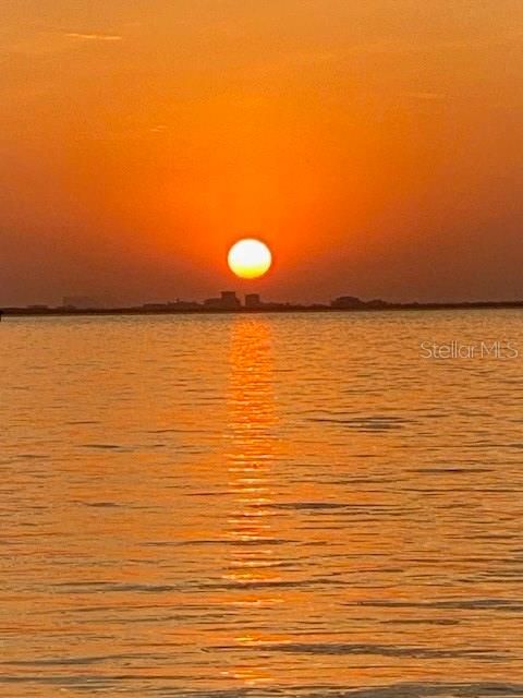 出租: $1,550 (1 贝兹, 1 浴室, 800 平方英尺)