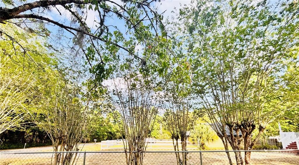 На продажу: $255,900 (3 спален, 2 ванн, 1710 Квадратных фут)